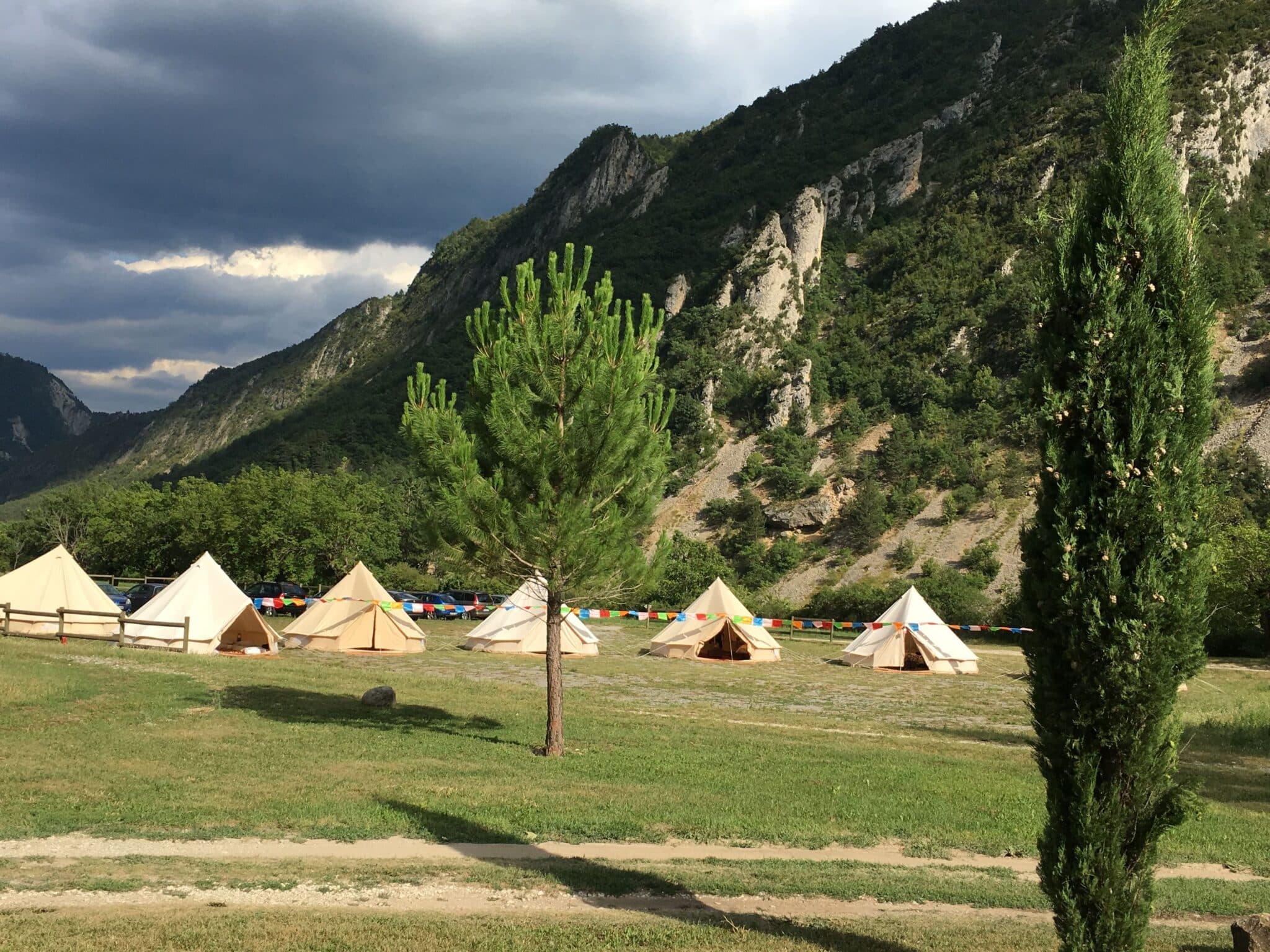 Les mariés sous les arbres centenaires du parc