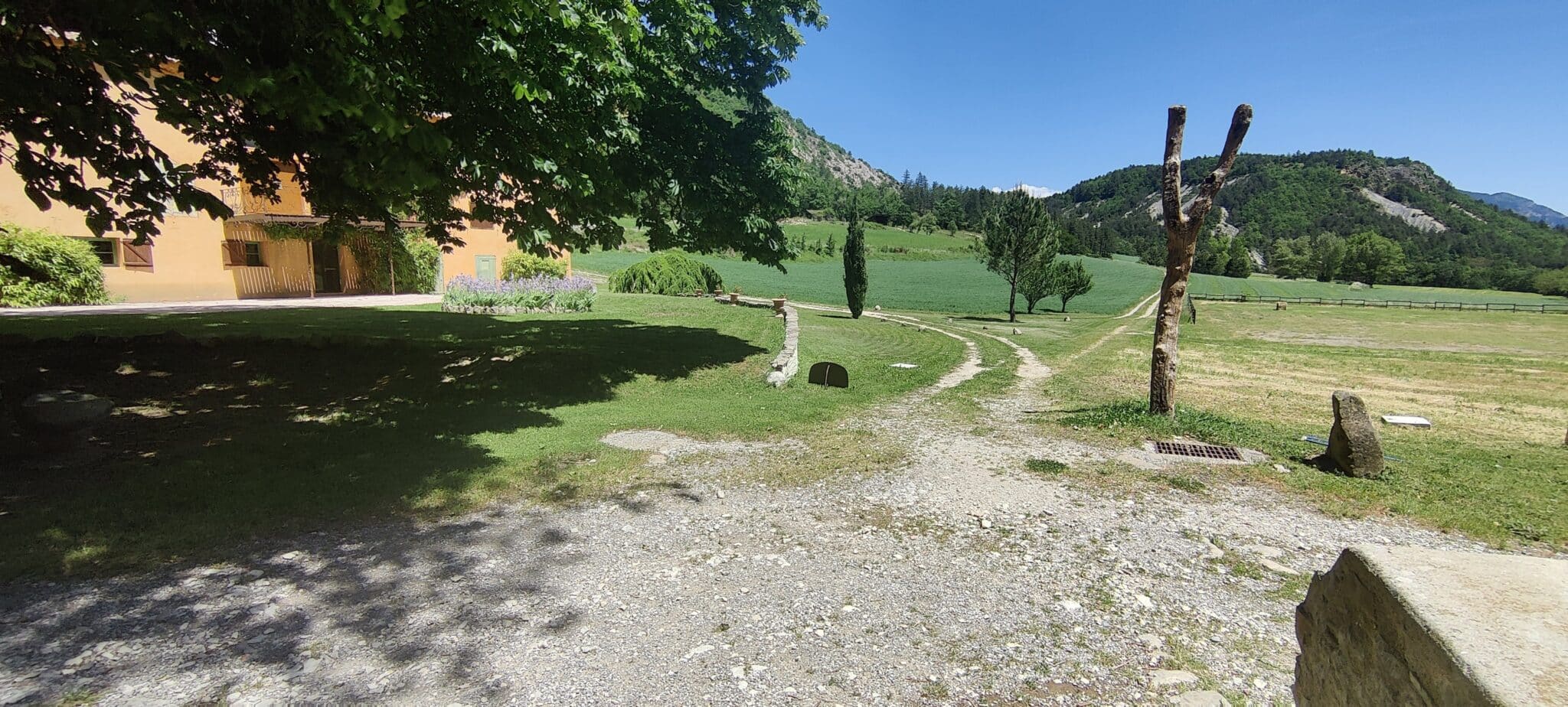 Baignade et détente au bord de la piscine du domaine